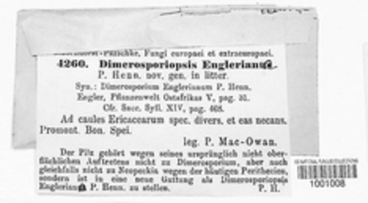 Protoventuria image